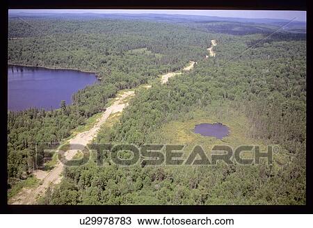 Top view of a forest View Large Photo Image Stock Image - Top view of a forest. Fotosearch