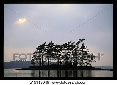 Tree island in a lake View Large Photo Image Stock Photo - Tree island in a lake. Fotosearch