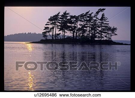 Stock Photograph - Tree island in a lake. Fotosearch