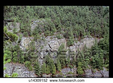 Stock Image - Trees growing out of rocks. Fotosearch