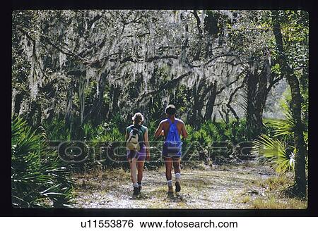 Two hikers on forest trail View Large Photo Image Stock Photograph - Two hikers on forest trail. Fotosearch