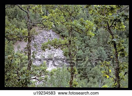 Stock Image - View of a lake through trees. Fotosearch