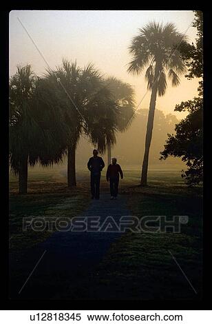 Stock Photography - Walking by palm trees. Fotosearch