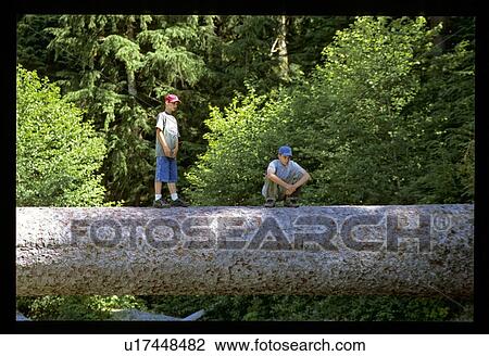 Stock Image - Walking on a log. Fotosearch