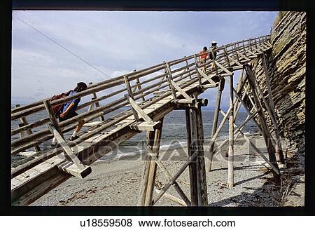 Walking over a wooden bridge on a beach View Large Photo Image Stock Photo - Walking over a wooden bridge on a beach. Fotosearch