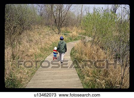 Stock Image - Walking path in the woods. Fotosearch