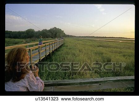 Stock Image - Watching the sunset. Fotosearch