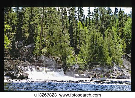 Waterfall in a forest View Large Photo Image Stock Image - Waterfall in a forest. Fotosearch