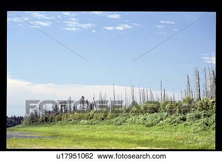 Stock Image - Wetlands . Fotosearch