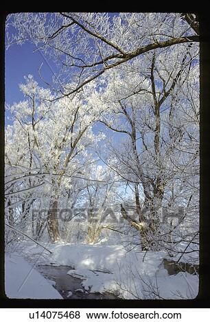 Winter creek View Large Photo Image Stock Photo - Winter creek. Fotosearch