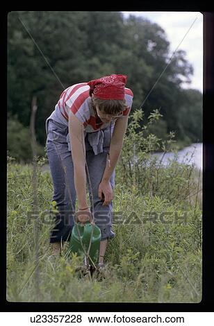 Woman watering plant View Large Photo Image Stock Photo - Woman watering plant. Fotosearch
