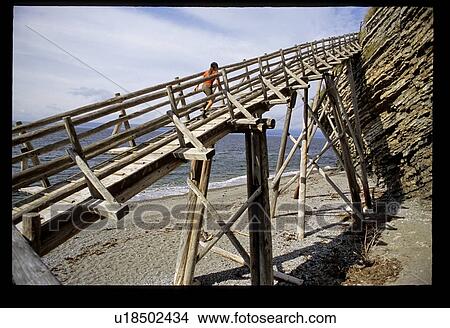 Wooden bridge on the beach View Large Photo Image Picture - Wooden bridge on the beach. Fotosearch