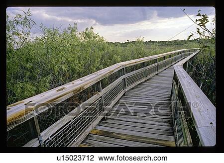 Wooden walking path View Large Photo Image Stock Image - Wooden walking path. Fotosearch