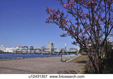 Ariake Nishifuto Park View Large Photo Image Stock Photo - Ariake Nishifuto Park. Fotosearch