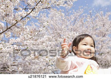Stock Image - Baby Girl and Cherry Blossom Trees. Fotosearch