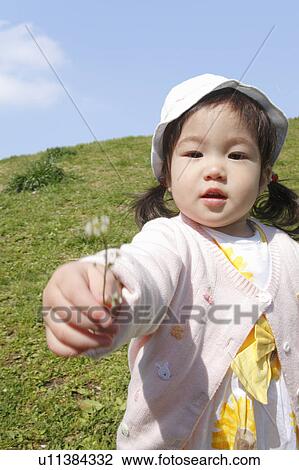 Baby Girl Giving Flower View Large Photo Image Stock Image - Baby Girl Giving Flower. Fotosearch