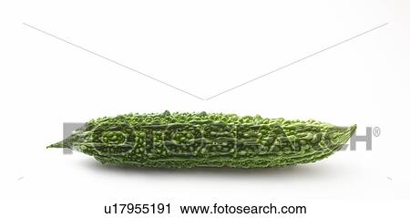 Balsam Pear View Large Photo Image Stock Image - Balsam Pear. Fotosearch