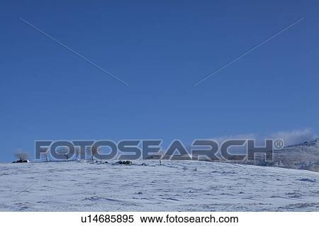 Barren Winter Landscape View Large Photo Image Stock Photography - Barren Winter Landscape. Fotosearch