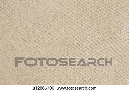 Beige Leather View Large Photo Image Stock Photograph - Beige Leather. Fotosearch