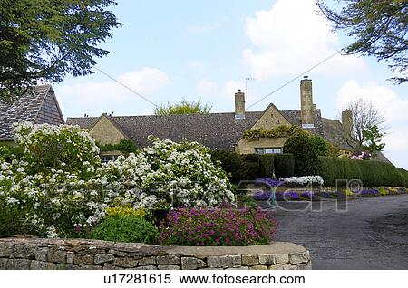 Blooming Bushes and House View Large Photo Image Stock Photography - Blooming Bushes and House. Fotosearch