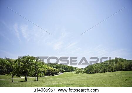 Blue Sky Over Field View Large Photo Image Stock Photo - Blue Sky Over Field. Fotosearch