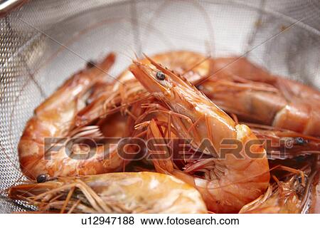 Boiled Shrimps View Large Photo Image Stock Photo - Boiled Shrimps. Fotosearch