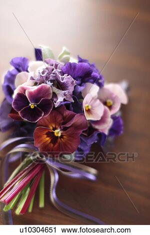 Bouquet of violas View Large Photo Image Stock Image - Bouquet of violas. Fotosearch