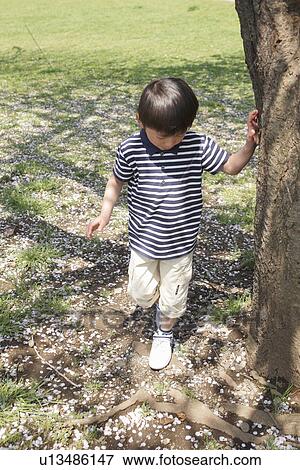 Boy by Tree View Large Photo Image Stock Photo - Boy by Tree. Fotosearch