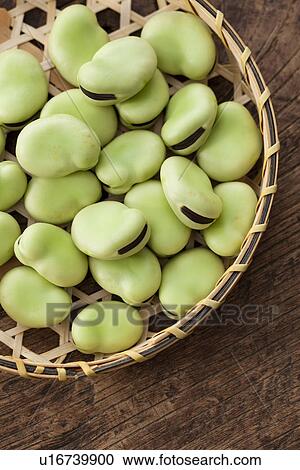 Stock Image - Broad Beans in Basket. Fotosearch