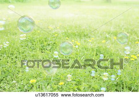 Stock Photography - Bubbles, Chiba Prefecture, Honshu, Japan. Fotosearch