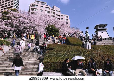 Busy Sumida River Bank in Spring View Large Photo Image Stock Photo - Busy Sumida River Bank in Spring. Fotosearch