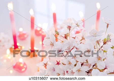 Stock Photo - Cherry Blossoms and Candles. Fotosearch