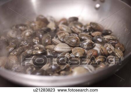 Stock Image - Clams Being Fried. Fotosearch