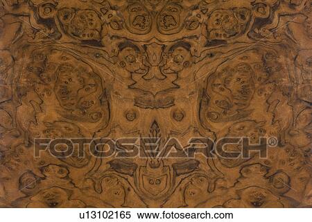 Claro Walnut View Large Photo Image Stock Photography - Claro Walnut. Fotosearch