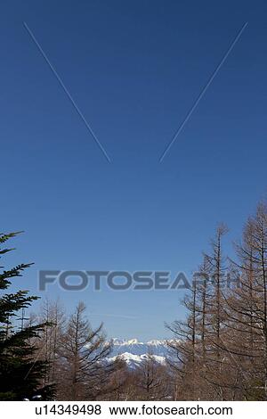 Stock Photo - Clear Blue Sky Over Tateshina Plateau. Fotosearch