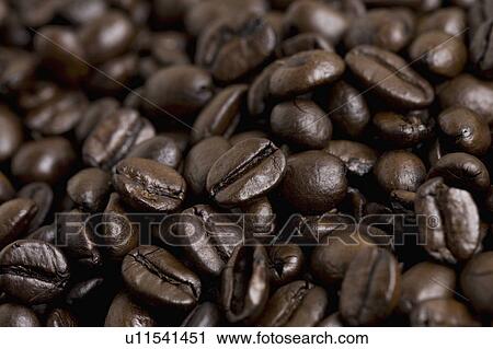 Coffee Beans View Large Photo Image Stock Image - Coffee Beans. Fotosearch