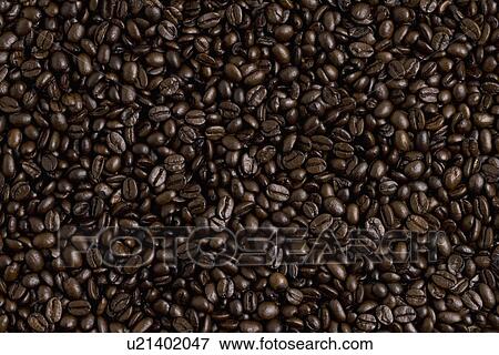Coffee Beans View Large Photo Image Stock Photo - Coffee Beans. Fotosearch