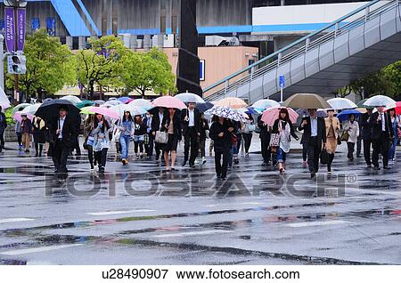 Commuters in Rain View Large Photo Image Stock Photo - Commuters in Rain. Fotosearch