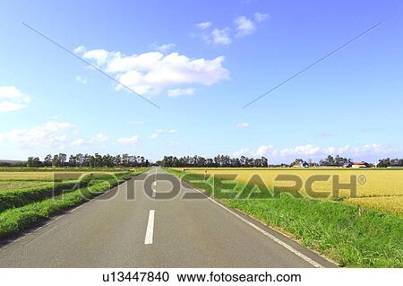 Country Road Through Paddy Field View Large Photo Image Stock Image - Country Road Through Paddy Field. Fotosearch