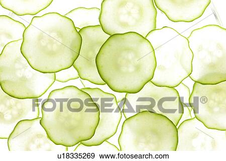 Cucumber Slices View Large Photo Image Stock Photo - Cucumber Slices. Fotosearch