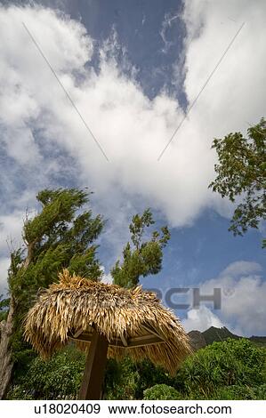 Stock Photo - Cumulus Clouds Over Rural Scene. Fotosearch