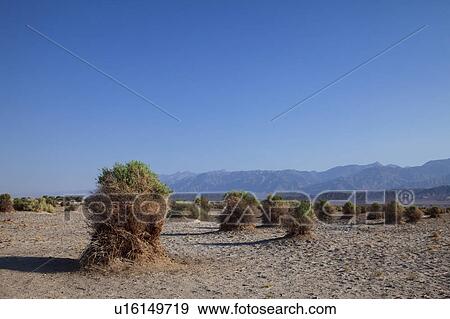 Death Valley View Large Photo Image Stock Photo - Death Valley. Fotosearch