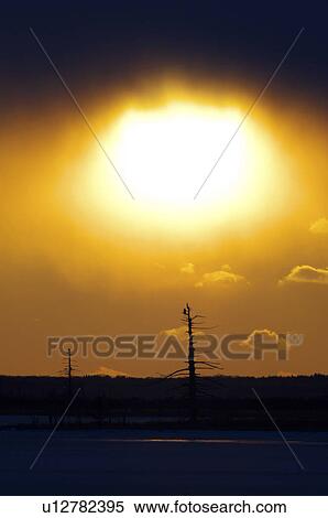 Stock Photography - Dramatic Winter Sky. Fotosearch