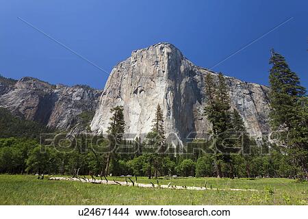 El Capitan in Yosemite National Park View Large Photo Image Picture - El Capitan in Yosemite National Park. Fotosearch