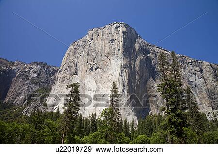 Stock Photo - El Capitan in Yosemite National Park. Fotosearch