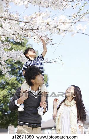 Stock Image - Family of Three Below Cherry Blossom Tree. Fotosearch