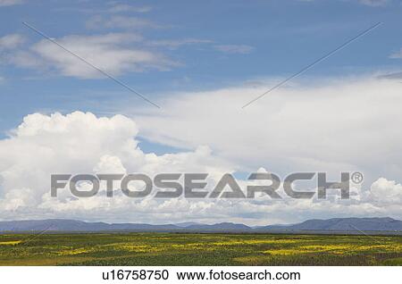 Field and mountain range, Andes, Peru View Large Photo Image Stock Image - Field and mountain range, Andes, Peru. Fotosearch