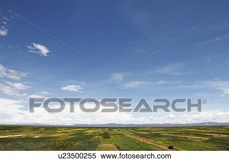 Field and mountain range, Andes, Peru View Large Photo Image Stock Photography - Field and mountain range, Andes, Peru. Fotosearch