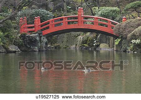 Footbridge in Kyu-Yasuda Garden View Large Photo Image Stock Photography - Footbridge in Kyu-Yasuda Garden. Fotosearch