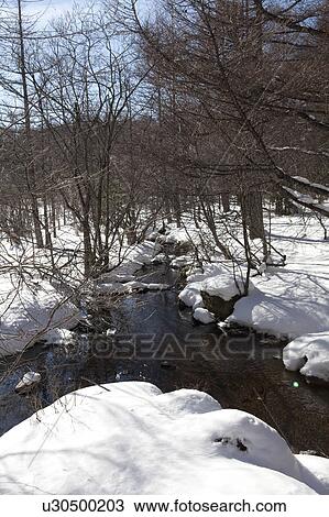 Stock Image - Forest Stream in Winter, Tateshina Plateau. Fotosearch